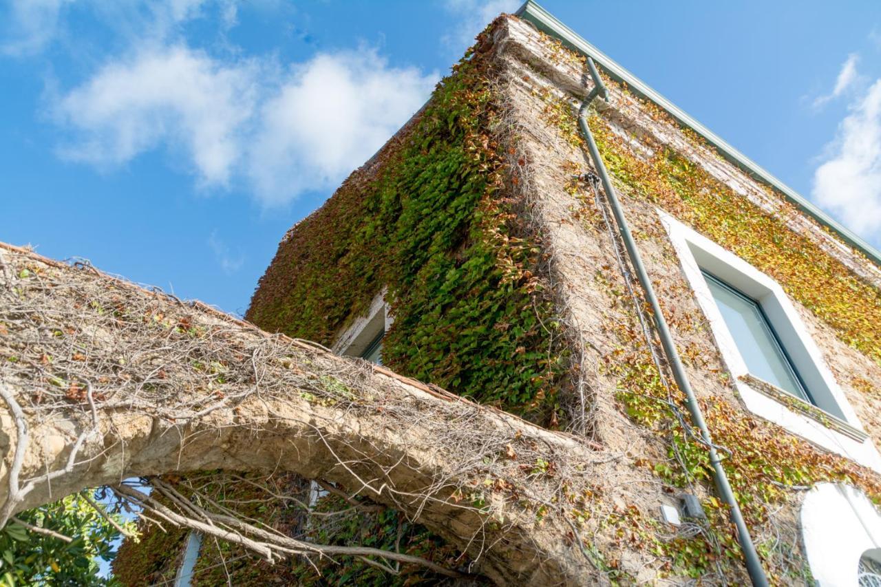 La Belle Vie B&B Santa Maria di Castellabate Bagian luar foto